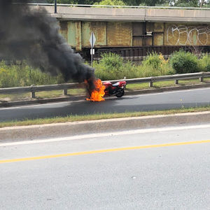 Meet your Posher, Carlos